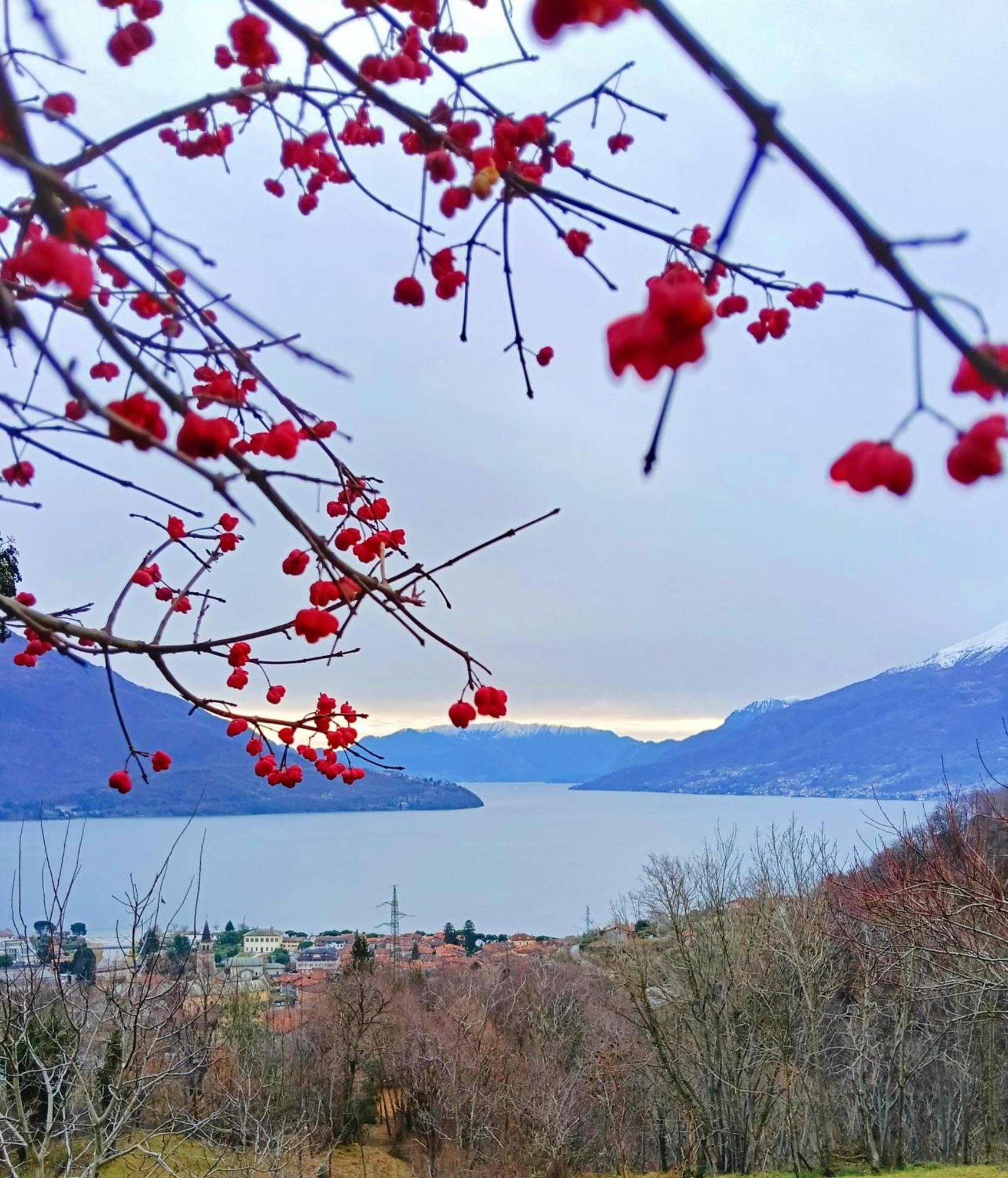 Lake Como Borgo Vignola كريميا المظهر الخارجي الصورة